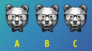 Test de logică | Care urs este diferit de ceilalți doi?