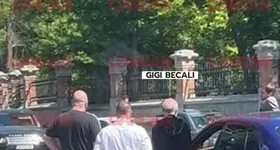 Galerie foto - poza 3