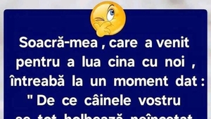 Bancul sfârșitului de săptămână | Soacra și câinele