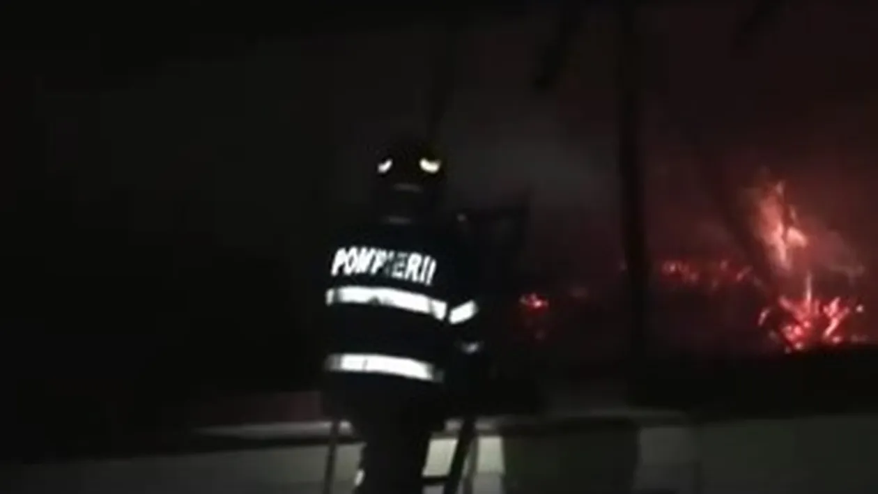 Și-a doborât recordul de infracțiuni! El este tânărul cu șase dosare penale de conducere fără permis! Este acuzat și de lovire și distrugere. Aseară și-a bătut bunica și a incendiat casa