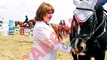 Caii i-au mancat zahar din palma!