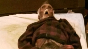 Imagini SOCANTE! O femeie a dormit un an cu cadavrul in putrefactie al sotului ei! Politia a avut un soc când a intrat in casă