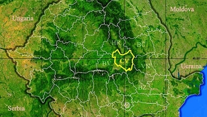 Rezultate Evaluarea Națională 2019 (Capacitate) Covasna