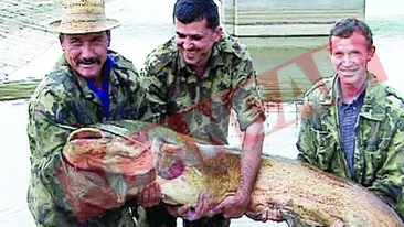 Iazul cu somni de 100 kg