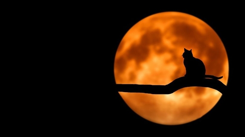 Totul despre eclipsa de Lună de pe 27 iulie 2018!