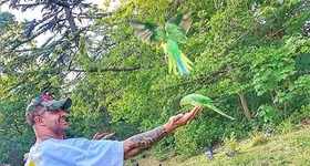 Galerie foto - poza 1