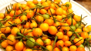 Cel mai scump ardei iute din lume se cultivă în România. Un kilogram costă cât o garsonieră!