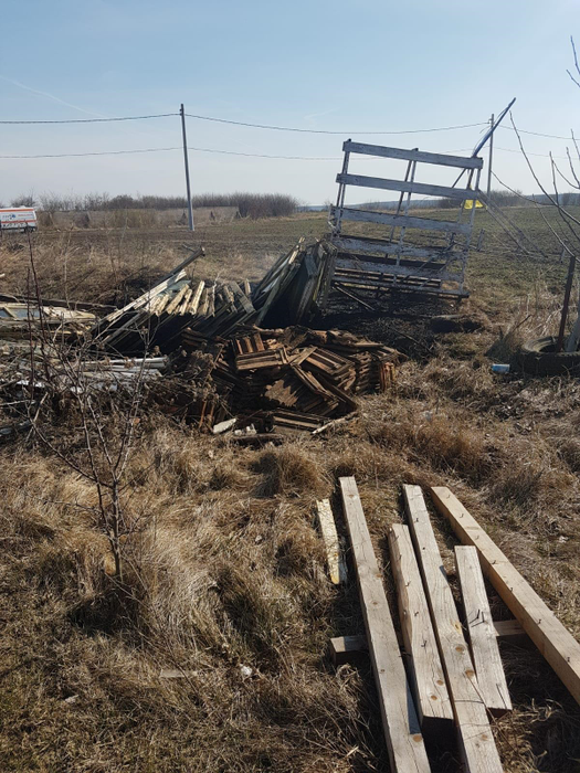 Un incendiu de vegetație a scăpat de sub control în Giurgiu