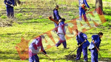 O institutie a municipalitatii taie frunze la caini de 1.000.000 euro pe an