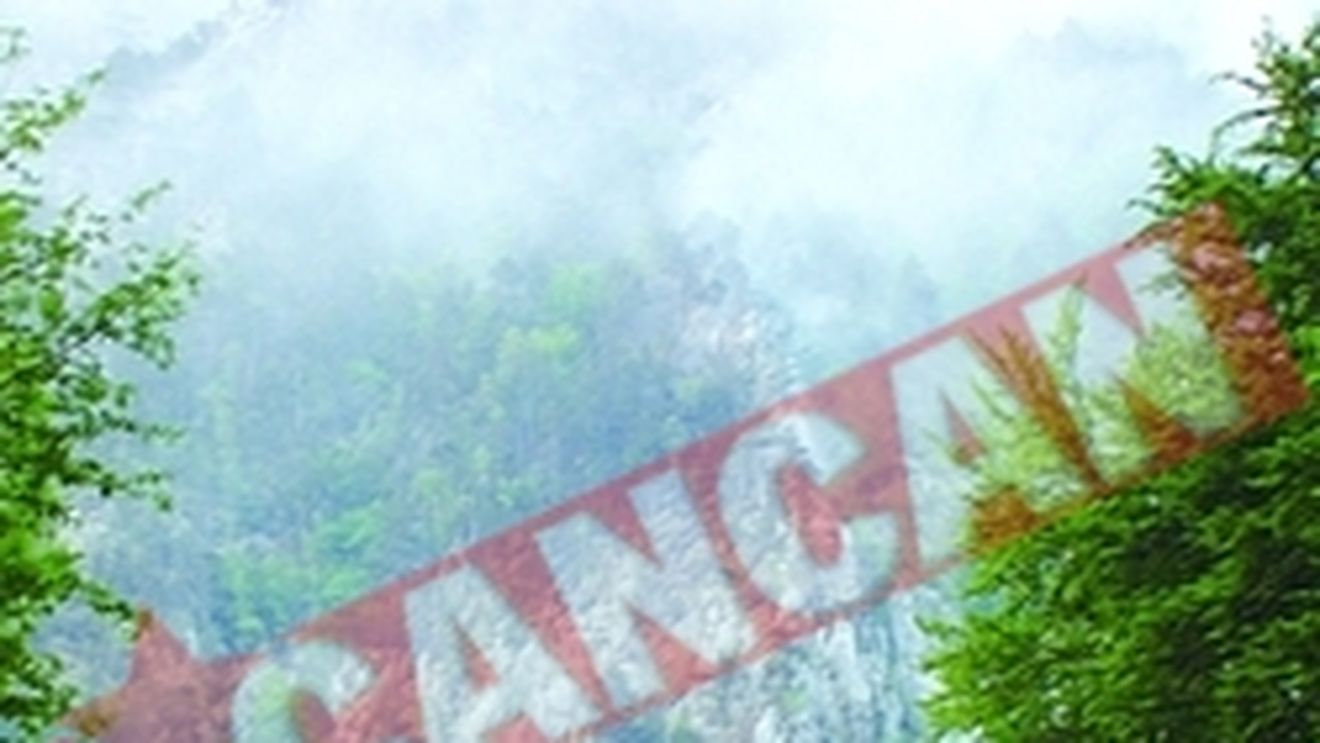 Focul din Parcul National Domoglet, stins cu bidoanele