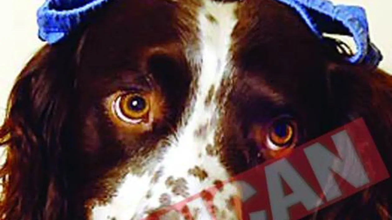 Au mancat chilotii si bijuteriile stapanilor