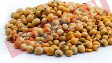 Zece alimente anticancer pe zi!