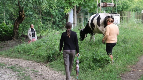 Un bărbat din județul Iași este acuzat că a vrut să-și violeze soția. Ce i-a făcut acesta când femeia l-a refuzat