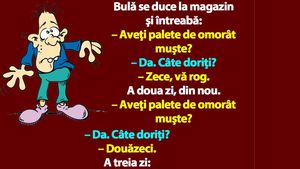 BANC | Bulă se duce la magazin şi întreabă: "Aveţi palete de omorât muşte?"