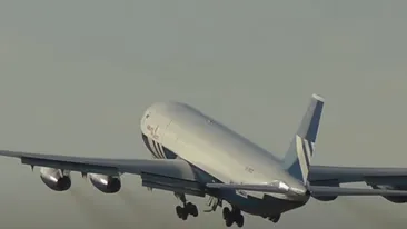 Un cal a obligat un avion să aterizeze de urgență la New York. Pilotul a cerut ca un veterinar să fie prezent pe pistă