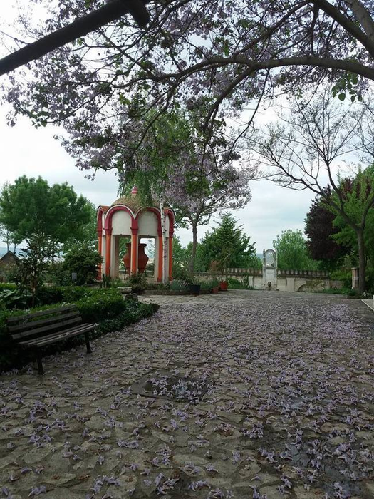 În cimitirul în care se află înmormântat Aurelian Preda a ”nins” cu flori de liliac
