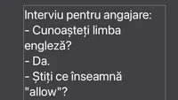 BANC | Interviu pentru angajare: Cunoașteți limba engleză?