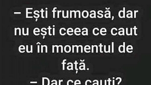 BANCUL ZILEI | "Ești frumoasă, dar nu ești ceea ce caut"