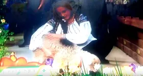 Galerie foto - poza 4