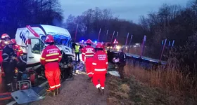 Galerie foto - poza 3