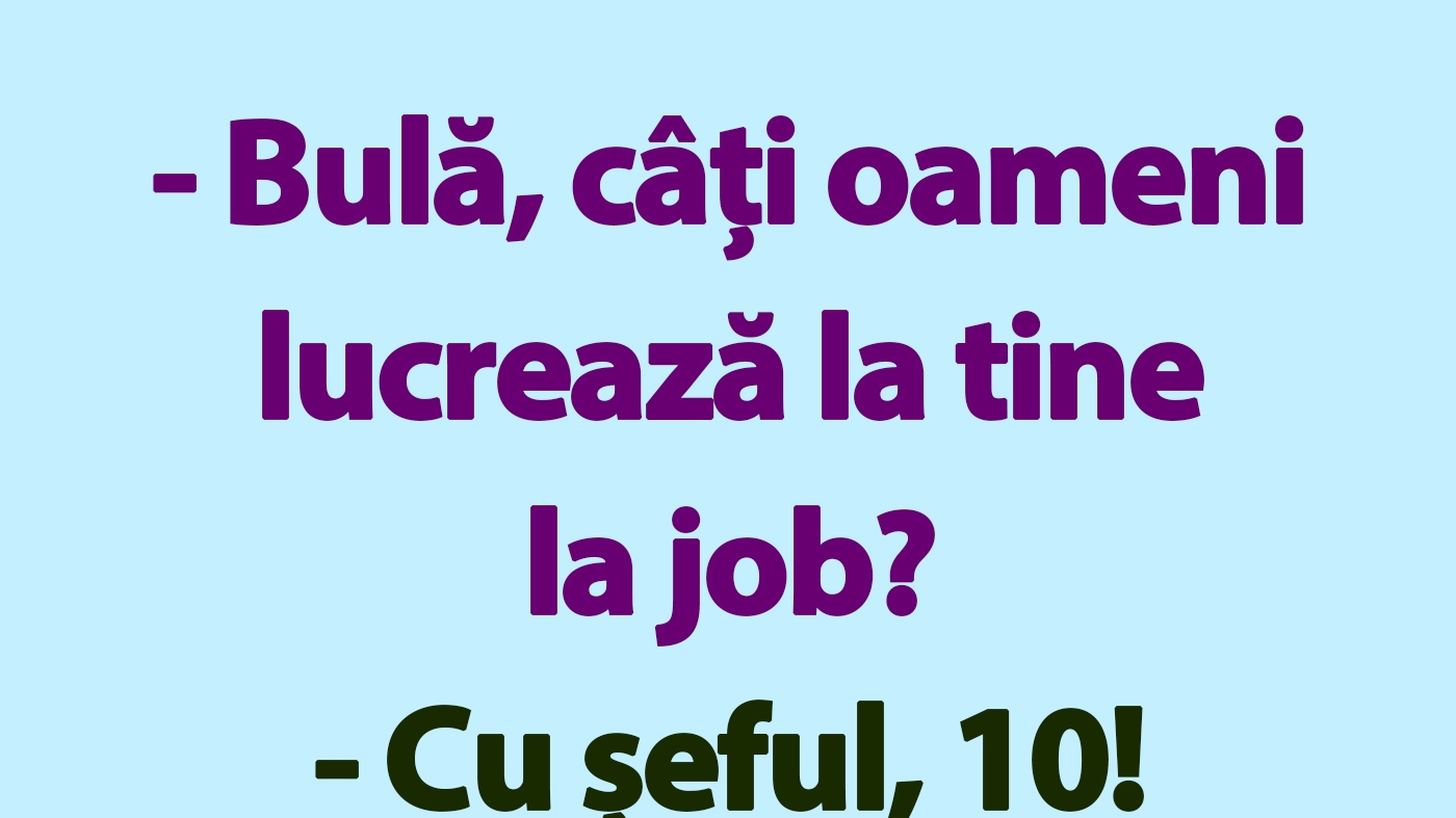 BANC | "Bulă, câți oameni lucrează la tine la job?"