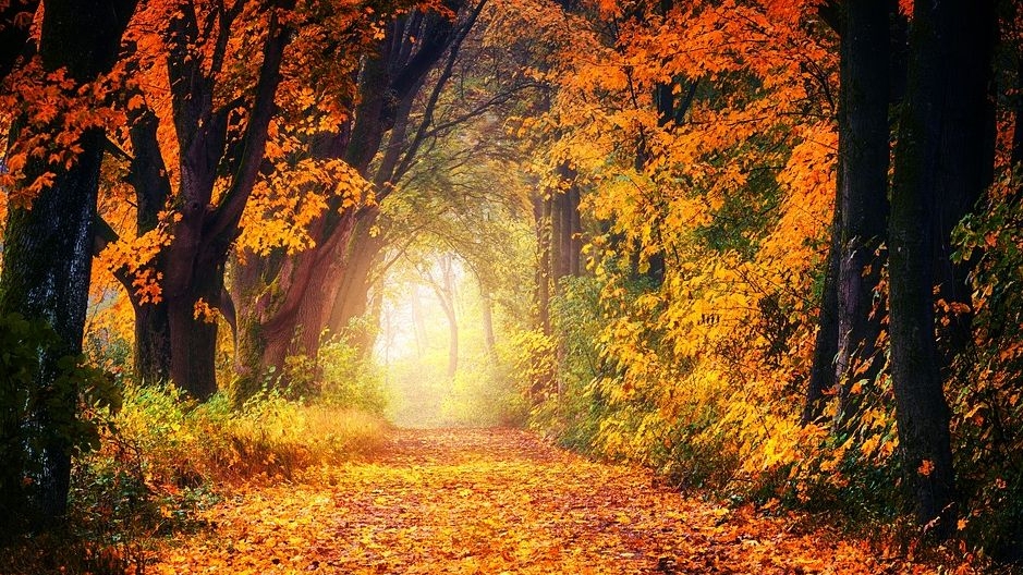 Prognoza meteo 20 septembrie: Maxime de 31 de grade!