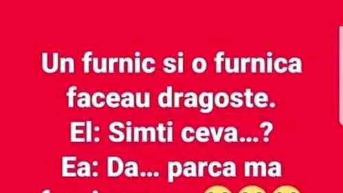 BANCUL ZILEI | Un furnic și o furnică făceau dragoste