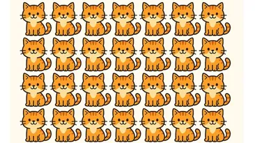 Test de logică | O singură pisică este diferită de toate celelalte. Care?