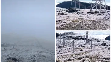 A nins în România! Unde s-a depus primul strat de zăpadă: „Ce frig, ce ninsoare și ce viscol”