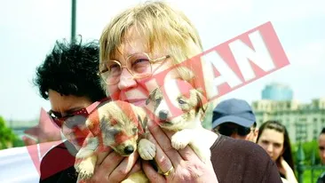 Au iesit in strada ca sa apere animalele