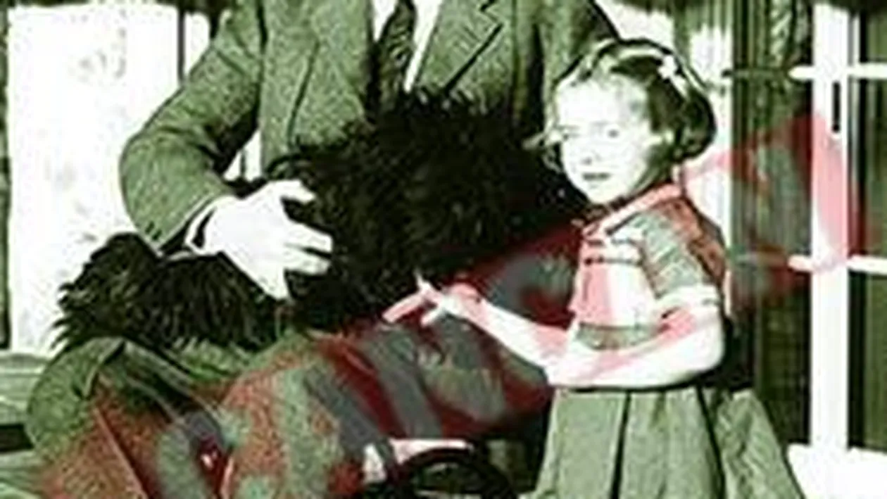 Candidat la primarie in scaunul cu rotile