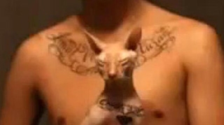 Nebunul asta si-a tatuat pisica! Uite cum a chinuit bietul animal!