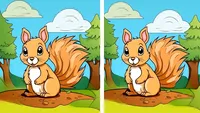 Test de perspicacitate | Identificați toate cele 3 diferențe dintre veverițele din această imagine!