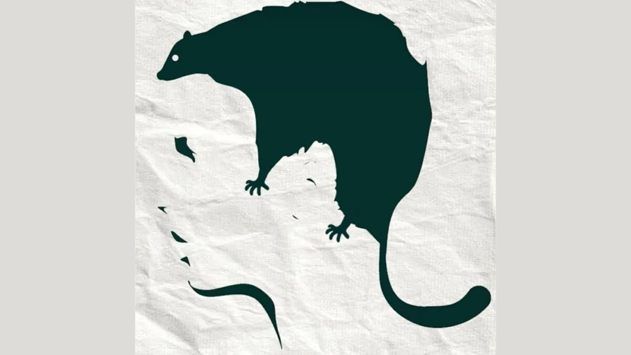 Test psihologic | Ce vezi prima dată în această poză? Răspunde și vei afla care e cea mai mare frică a ta!