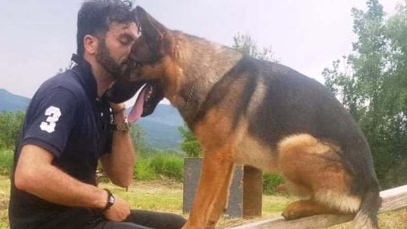 Câinele-erou de la Amatrice a fost omorât! Deși a salvat zeci de vieți, animalul a fost ucis tot de oameni