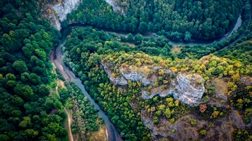 Descoperire macabră la 1 metru de malul Crişului Repede. Au fost mobilizate două echipaje de pompieri