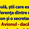BANC | Bulă, avionul și secretara