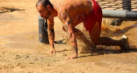 Galerie foto - poza 2