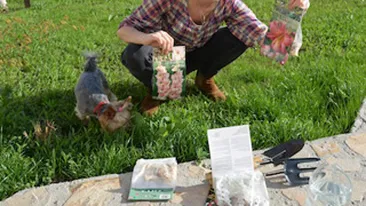 Laura Cosoi s-a apucat de gradinarit: M-am hotarat sa plantez cativa bulbi in gradina