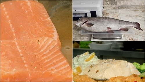 Noua specie de pește care face furori în România. Va costa 50-60 de lei per kilogram