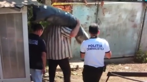 Situație INCREDIBILĂ în cazul de la Caracal! Un polițist l-a ajutat pe Dincă să o bage pe Luiza în sac! Scene desprinse din filme horror