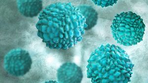 Epidemie de Norovirus în Râșnov! Peste 140 de persoane s-au îmbolnăvit în ultimele zile