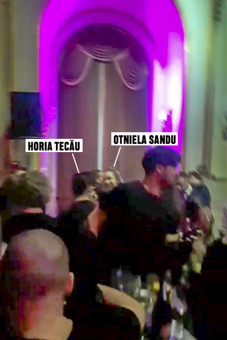 Otniela l-a "flituit" pe Horia Tecău
