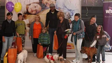 Dana Nalbaru si Cabral, dragoste la prima vedere intre patrupedele lor, de Ziua Mondiala a animalelor