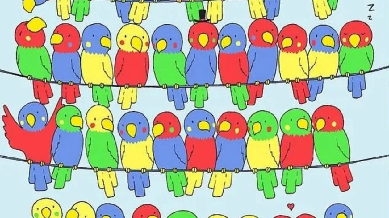 Test IQ exclusiv pentru genii | Identificați singurul papagal fără pereche!