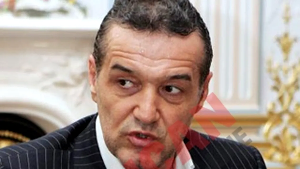 Gigi Becali: Rromii se vor intoarce in Franta, nu ai ce sa le faci