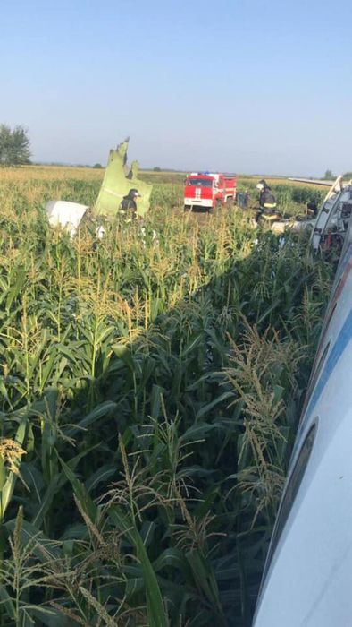 Imagini dramatice filmate din avionul care a aterizat forțat într-un lan de porumb VIDEO