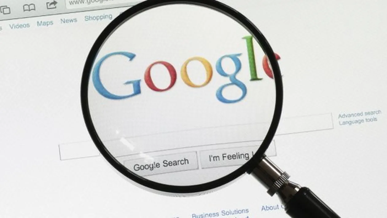 Iubitorii de animale sunt îndrăgostiţi de noul update Google! Tu ai aflat despre el?