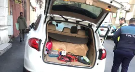 Galerie foto - poza 3