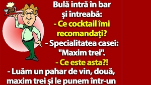 BANC | Bulă intră în bar și întreabă: "Ce cocktail îmi recomandați?"